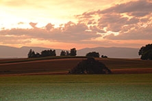 Ajout au panier - Pour commander cette photo, cliquer ICI