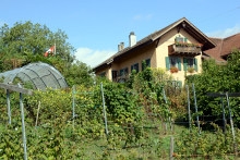 Ajout au panier - Pour commander cette photo, cliquer ICI