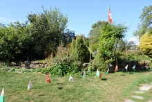 Ajout au panier - Pour commander cette photo, cliquer ICI