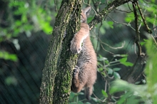 Ajout au panier - Pour commander cette photo, cliquer ICI