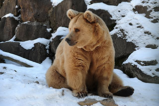 Pierre Ecoffey, biologiste, passionn� de nature,  responsable animaux du Zoo de Servion