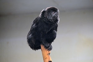 Retour