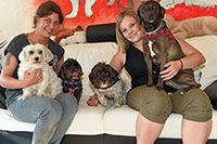 Dogy Dogs: nos amis � quatre pattes aussi ont rendez-vous chez la coiffeuse. Echallens, octobre 2018