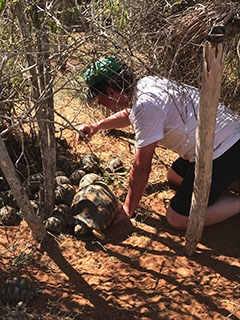 Jean-Marc Ducotterd et sa fille au chevet des tortues malgaches - Chavornay, Madagascar, mai 2018 - Reportage de Dany Schaer, journaliste-photographe