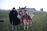 Transhumance, un instant de po�sie - Nicola Toscano, Plateau du Jorat, f�vrier 2018