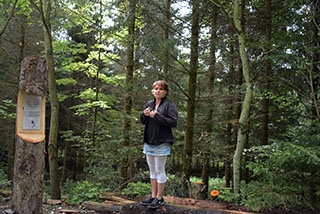 "Tronches d�arbres" compl�te sa galerie de portraits. AG Bois des Brigands, Thierrens, juin 2019. Reportage de Dany Schaer, journaliste-photographe