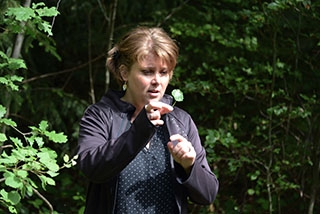 "Tronches d�arbres" compl�te sa galerie de portraits. AG Bois des Brigands, Thierrens, juin 2019. Reportage de Dany Schaer, journaliste-photographe