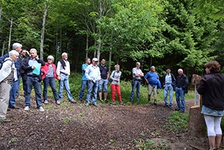 "Tronches d�arbres" compl�te sa galerie de portraits. AG Bois des Brigands, Thierrens, juin 2019. Reportage de Dany Schaer, journaliste-photographe