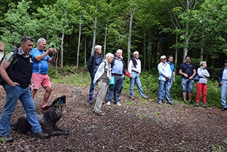 "Tronches d�arbres" compl�te sa galerie de portraits. AG Bois des Brigands, Thierrens, juin 2019. Reportage de Dany Schaer, journaliste-photographe