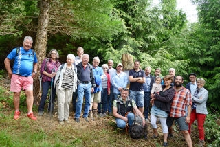 "Tronches d�arbres" compl�te sa galerie de portraits. AG Bois des Brigands, Thierrens, juin 2019. Reportage de Dany Schaer, journaliste-photographe