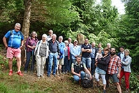"Tronches d�arbres" compl�te sa galerie de portraits. AG Bois des Brigands, Thierrens, juin 2019 (cliquer ICI)