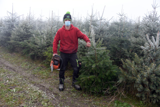 Vivons heureux aupr�s de notre arbre� - AgriSapins, Vincent Pidoux, Thierrens, d�cembre 2020. Reportage de Dany Schaer, journaliste photographe