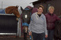 Equi�solution, un service de remplacement sur mesure. Gros-de-Vaud, janvier 2022 (cliquer ICI)
