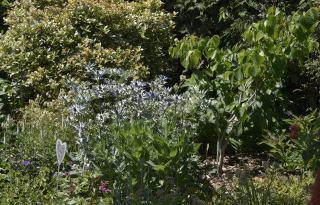 Jardin�Art un �merveillement - Gros-de-Vaud, 21 juin 2022 - Reportage de Dany Schaer, journaliste photographe