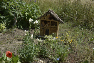Jardin�Art un �merveillement - Gros-de-Vaud, 21 juin 2022 - Reportage de Dany Schaer, journaliste photographe