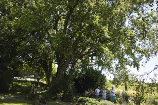 Jardin�Art un �merveillement - Gros-de-Vaud, 21 juin 2022 - Reportage de Dany Schaer, journaliste photographe
