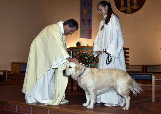 B�n�diction des animaux - Eglise catholique de Payerne, samedi 8 octobre 2022 - Reportage de Dany Schaer, journaliste photographe