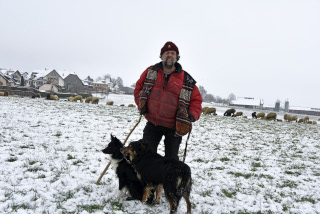 La transhumance hivernale, une tradition bien vivante. De Goumoens � Echallens, Nicola Toscano, berger. 28 janvier 2024 - Reportage de Dany Schaer, journaliste photographe