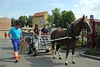 Le cheval, cantonnier des temps modernes - Avenches, août 2012 (Cliquer ICI)