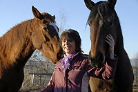 EMS pour chevaux à Combremont-le-Grand - Février 2011 (Cliquer ICI)