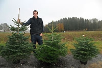 Ecosapin - Le sapin de Noël en pot s’invite dans votre salon - Cottens VD, novembre 2011 (Cliquer ICI)