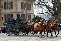 Reportage: Sauvons le Haras national. Mars 2010