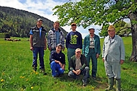 Les génisses partent à la colo. Plateau du Jorat, juillet 2012 (Cliquer ICI)